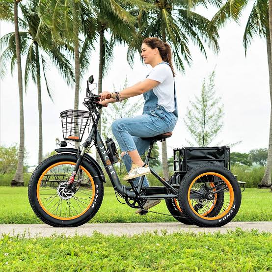 9 Best eTrikes For Adults in 2022
